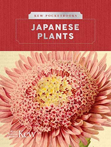 Book cover featuring a detailed illustration of a pink chrysanthemum.