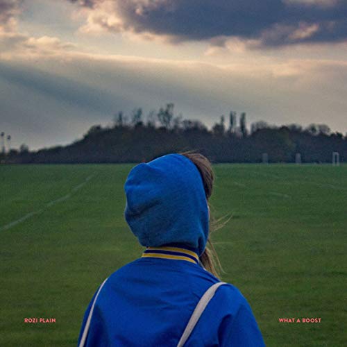 Person in a blue hoodie looking at a field under cloudy skies.