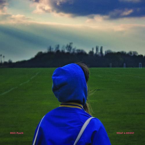 A person in a blue hoodie stands facing a green field under a cloudy sky.