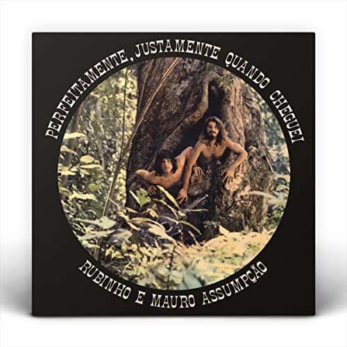 Vinyl record cover: two men relaxing in a tree hollow, lush foliage.