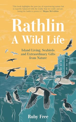 Book cover: illustrated coastal scene with seabirds and a lighthouse.