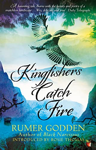 Book cover: a kingfisher in flight over a vibrant, abstract landscape.