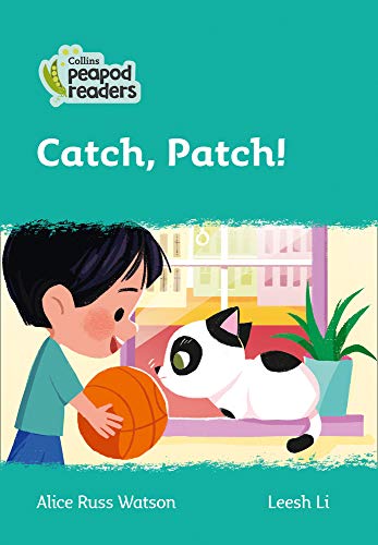 Book cover: boy with ball, black and white cat, illustrated style.