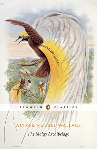 Book cover depicting a vibrant bird of paradise with long tail feathers.