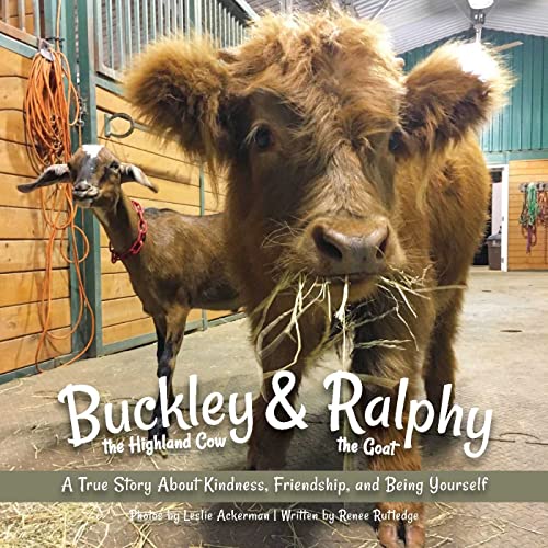Fluffy Highland cow and small goat stand close, book cover visible.