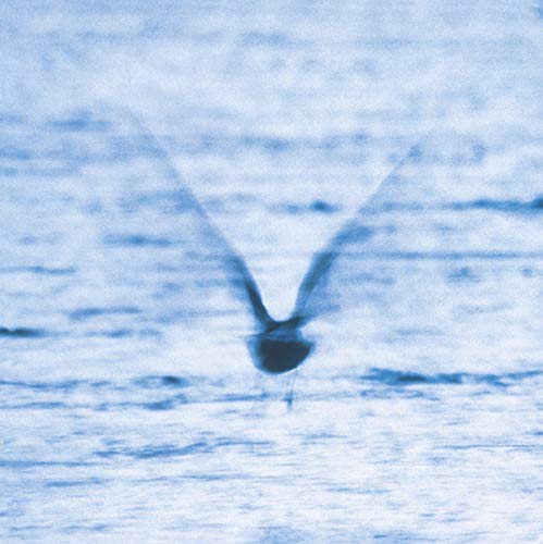 Blurry blue image of a bird in flight, CD cover art.