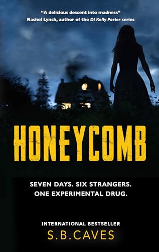 Book cover: dark, silhouetted figure facing a lit house in trees.