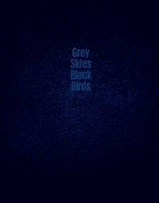 Dark blue textured background with the title “Grey Skies Black Birds”.