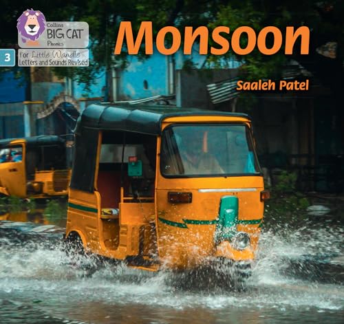 A yellow auto-rickshaw drives through a flooded street on a book cover.