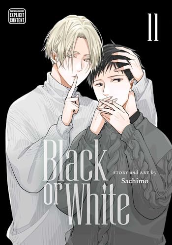 Cover of "Black or White, Vol. 11" featuring two men in close proximity.