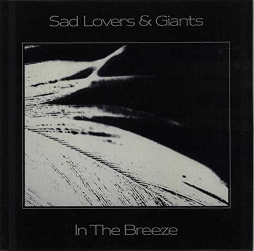 Vinyl record cover: black and white abstract landscape, text reads "In The Breeze".