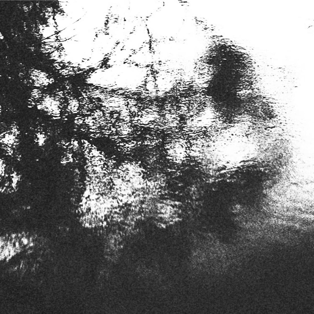 Black and white abstract image of a face partially obscured by water.