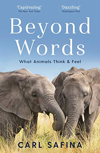 Book cover featuring two elephants and the title "Beyond Words.