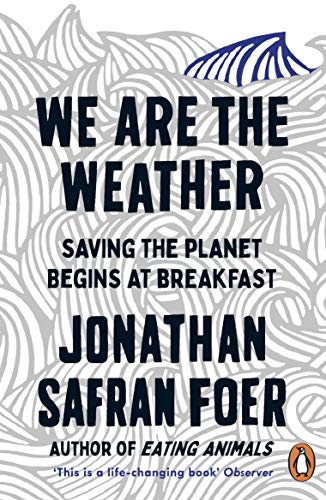 Book cover: "We Are The Weather" by Jonathan Safran Foer, with wave design.
