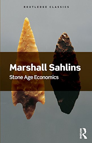 Book cover featuring two stone arrowheads against a grey background with title text.