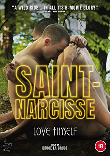 DVD cover for "Saint-Narcisse" showing two shirtless men embracing in a forest.