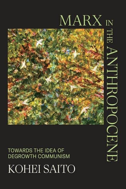 Book cover: green and brown abstract art, white text, author Kohei Saito.