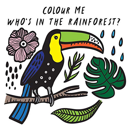 Illustration of a toucan with rainforest plants, for a children’s book.