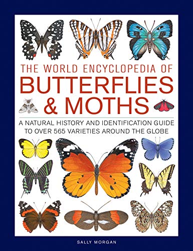 Book cover featuring illustrations of various colorful butterflies and moths on a white background.