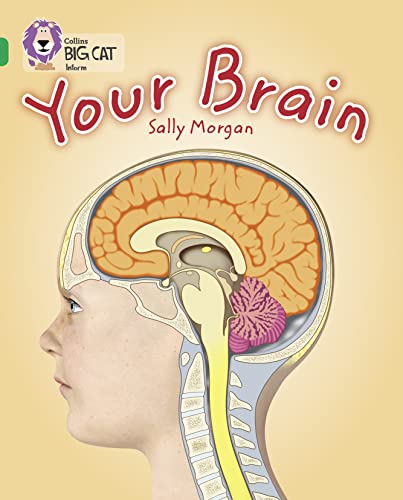 Book cover showing a cross-section of a human head and brain.