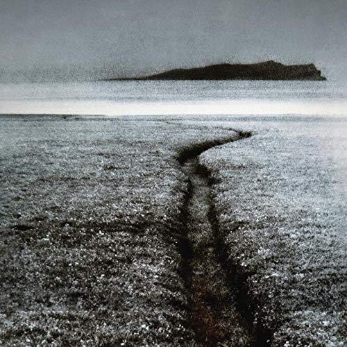 Dark, grainy landscape of water, sand, and a distant landmass.