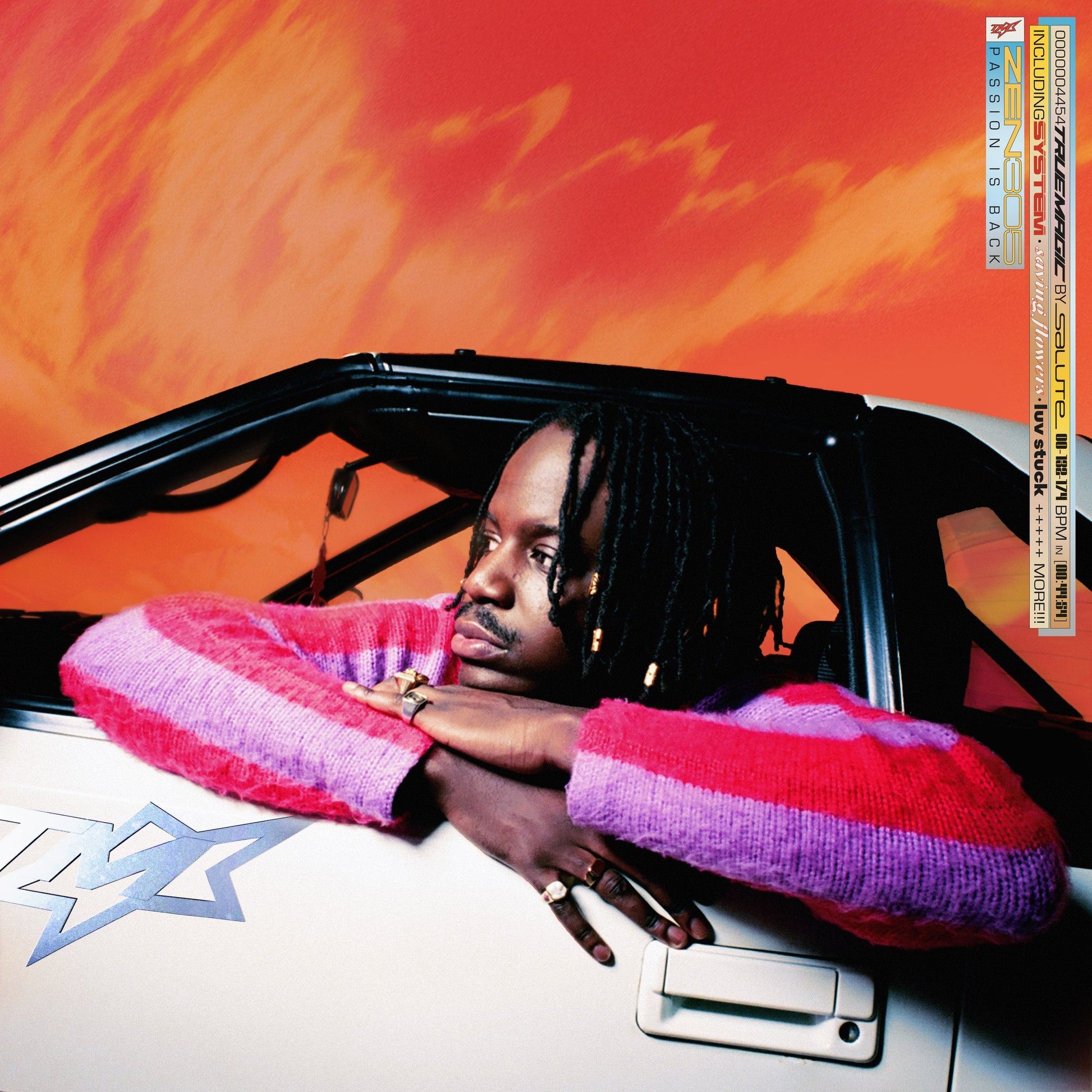 CD cover: man with dreadlocks leaning against a purple car.
