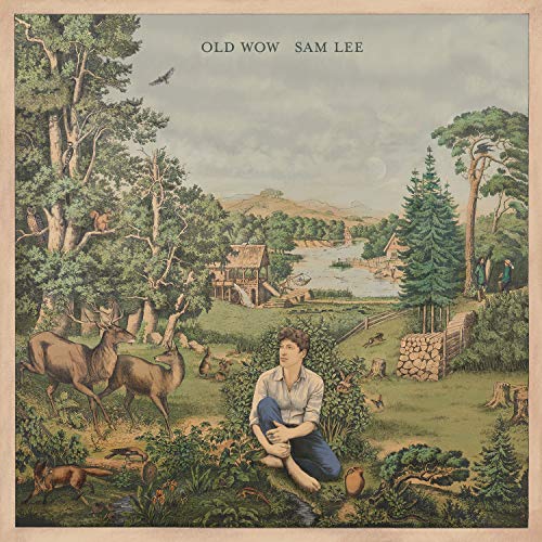 "Vinyl record cover with serene forest scene and seated man surrounded by animals."