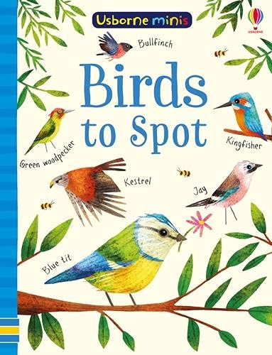 Cover of “Birds to Spot” children’s book with illustrated birds.