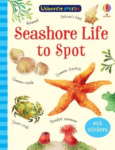 Cover of “Seashore Life to Spot” children’s book with shells and sea creatures.