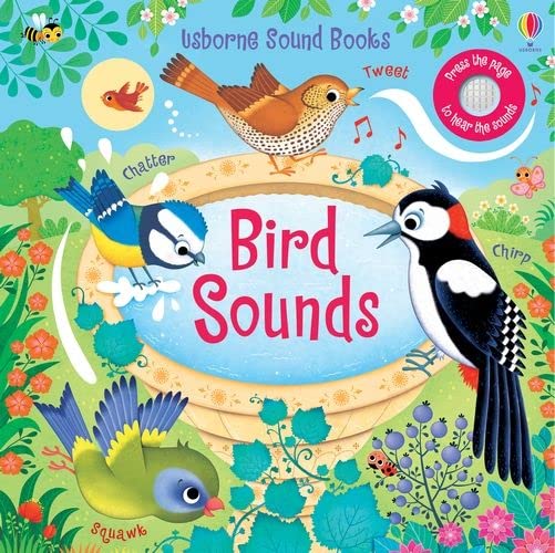 Colorful Usborne sound book cover featuring various illustrated birds around a birdbath.