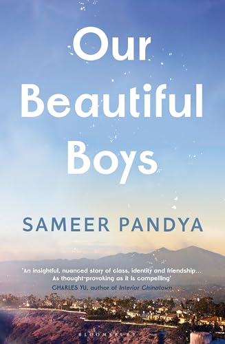 Book cover with title “Our Beautiful Boys” and a coastal landscape.