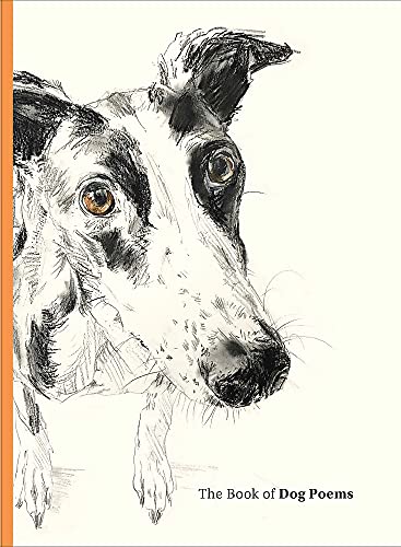 Book cover with a sketched portrait of a dog’s face and title.