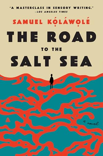 Book cover with a silhouette of a person standing over red and blue waves.