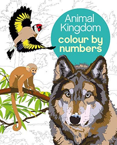 Colour by numbers book cover featuring a woodpecker, monkey, and wolf.