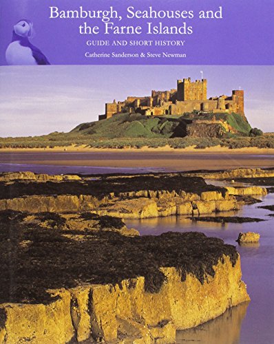 Book cover featuring Bamburgh Castle on a coastal landscape.