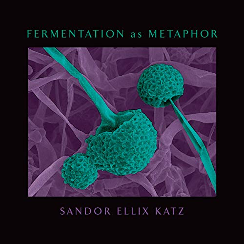 Book cover titled Fermentation as Metaphor featuring a microscopic image of teal fungal spores.
