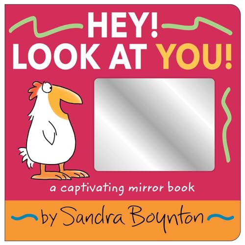 Cover of a pink mirror book featuring a cartoon bird and the title text.