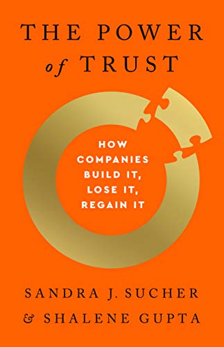 Orange book cover with puzzle piece design and title “The Power of Trust”.