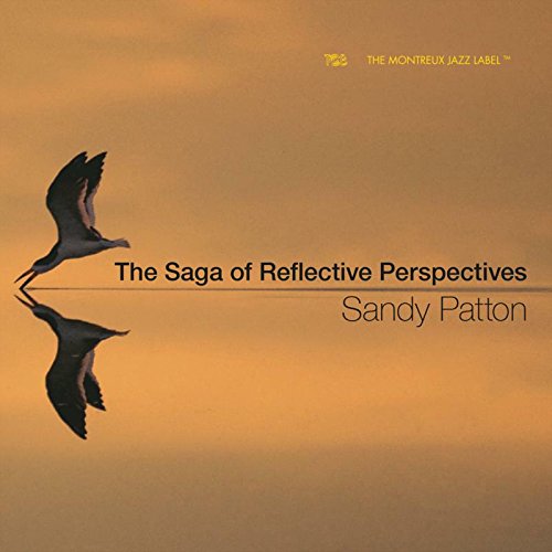 "CD cover with a bird in flight and its reflection, orange background, text overlay."