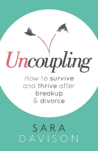 Book cover with teal background, white circle, and birds in flight.