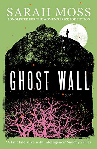 Book cover with a black silhouette of a mountain, a moon, and pink branches.