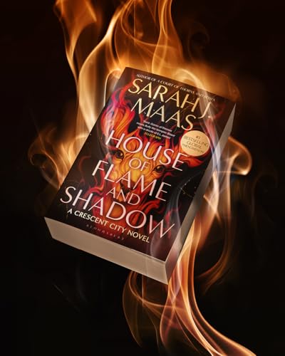 Book cover for “House of Flame and Shadow” with fiery background.