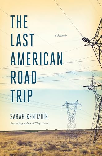 Book cover showing electrical towers in a desert landscape under a pale sky.
