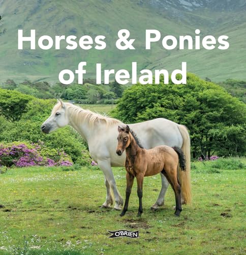 Book cover: white horse and brown foal in Irish landscape.