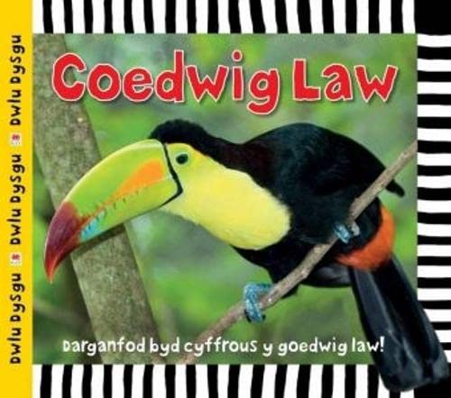 A toucan perched on a branch, with the title Coedwig Law above it.