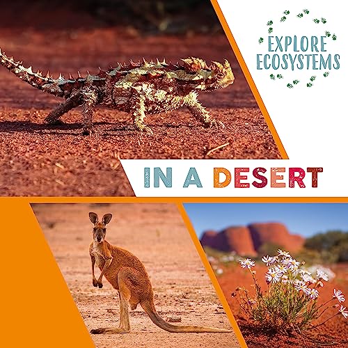 Desert wildlife including a lizard, kangaroo, and landscape with plants.