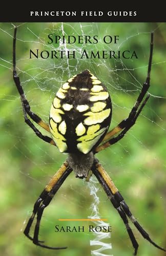Book cover featuring a yellow and black garden spider on its web.