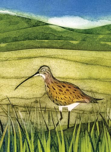 Watercolor illustration of a curlew standing in grass against a backdrop of rolling hills.