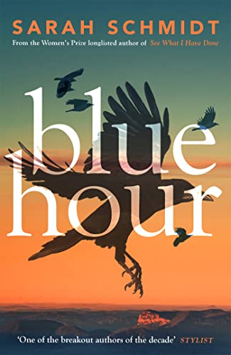 Book cover for "Blue Hour" with large title and flying birds.