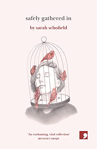 Book cover: woman’s face inside a birdcage with red birds.